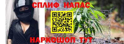 каннабис Будённовск