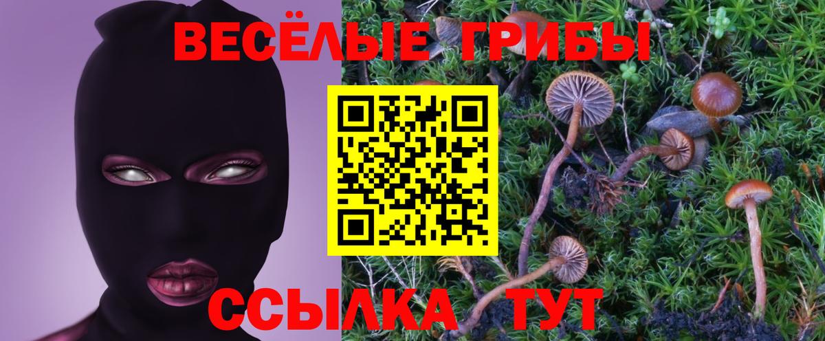 купить закладку  Псилоцибиновые грибы прущие грибы  Вход с VPN  Печора 